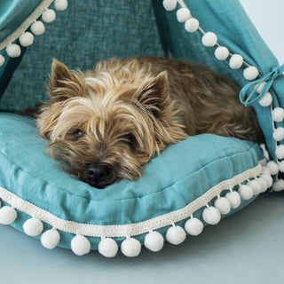 MINICAMP Dog and Cat Teepee in Turquoise Linen with Soft Pillow – Sizes S, M, L