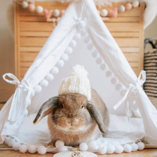 MINICAMP Rabbit Teepee, Bunny Bed in White