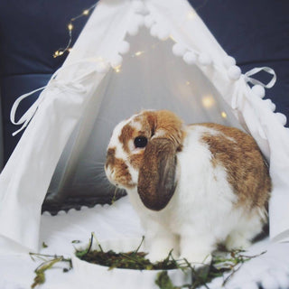 MINICAMP Rabbit Teepee, Bunny Bed