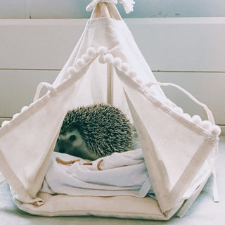 MINICAMP Hedgehog Bed Teepee with Soft Pad in Ecru