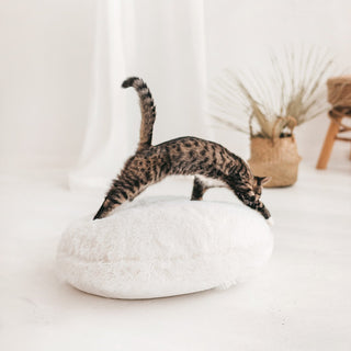 Soft Cat Pillow from White Fur - Comfy Pet Bedding